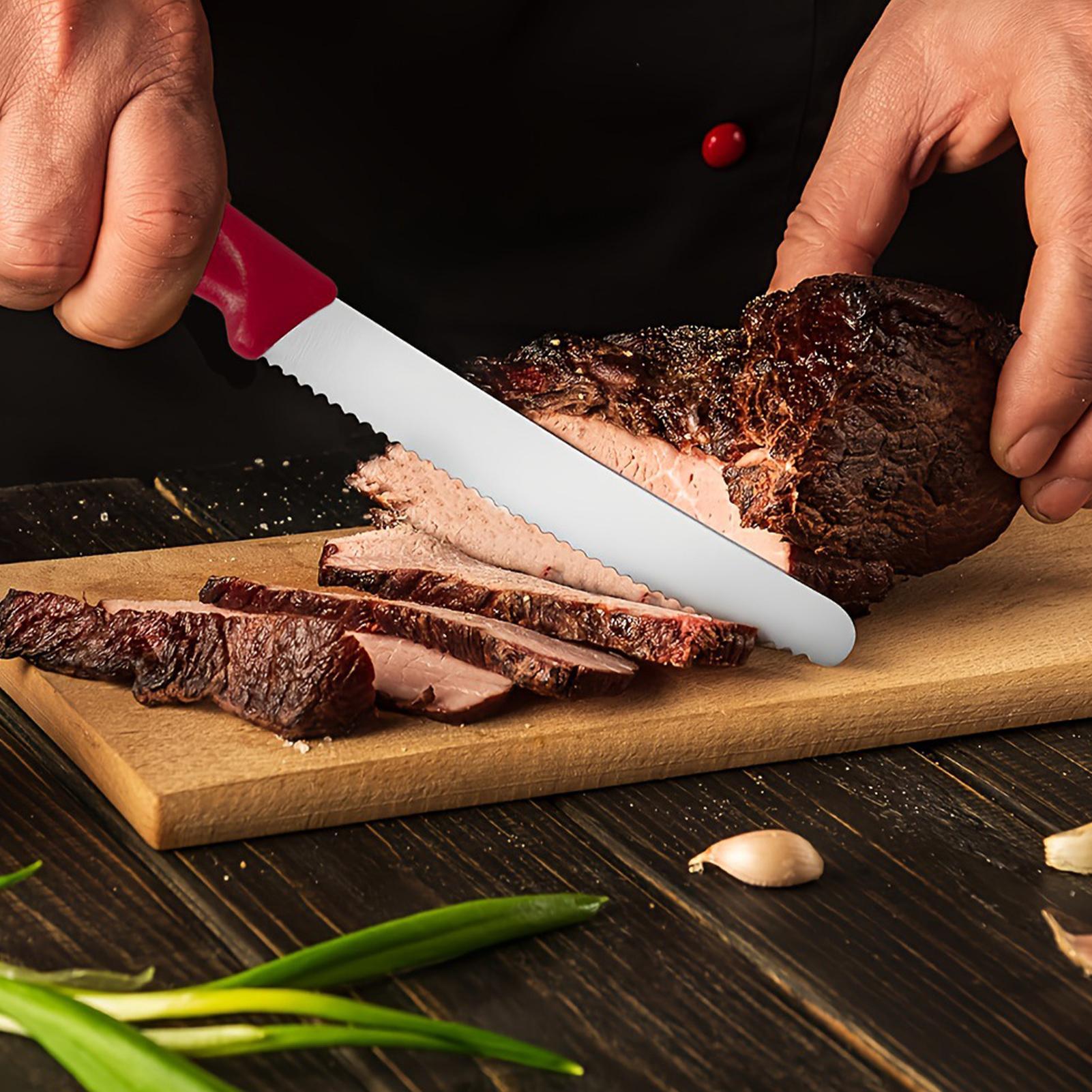 Serrated Steak Cutter 5 Pieces – Outdoor Camping Table Bewertung und Preis